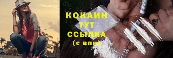 стаф Архангельск