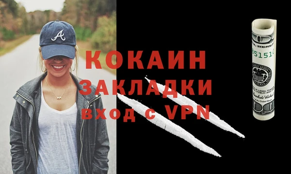 стаф Архангельск
