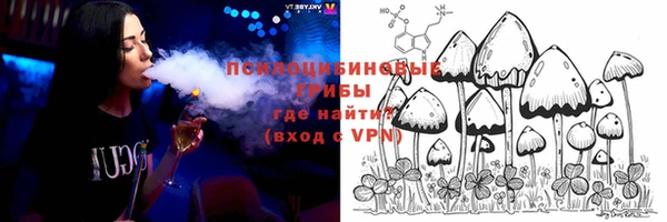 apvp Чита