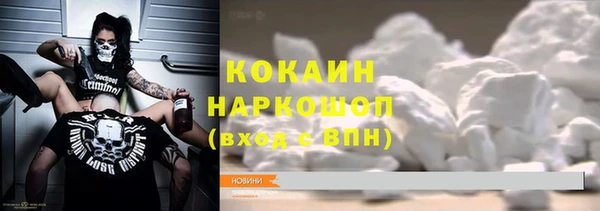 стаф Архангельск