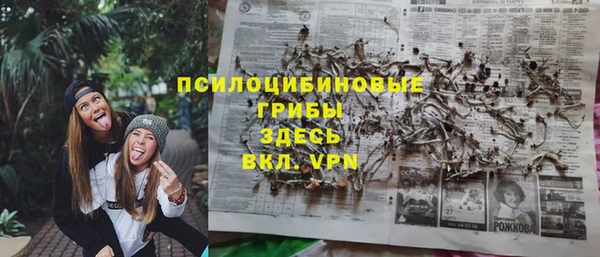 стаф Архангельск