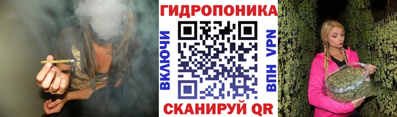 Бошки Шишки гибрид Белоярский
